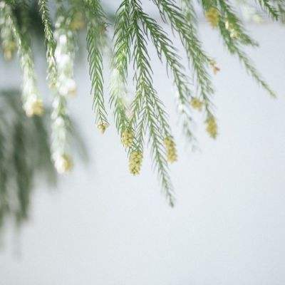 蛋蛋28开奖结果官方