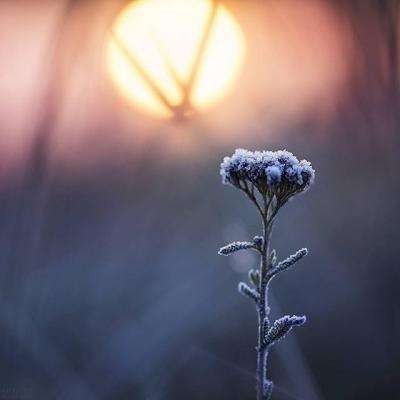 365在线下载手机版