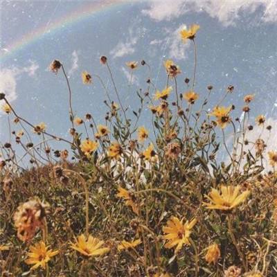 pg麻将胡了下载