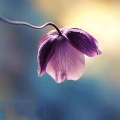 球王会官网注册