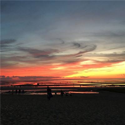 炸金花单机游戏