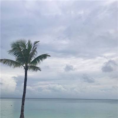 凤凰彩票下载中心