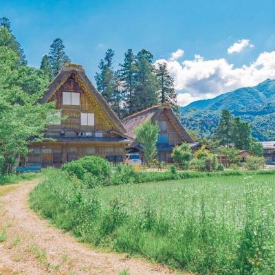 天下彩网站手机app下载