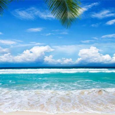 大发彩票app手机app下载