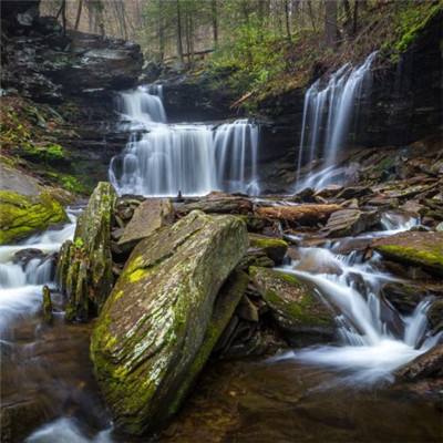 乐鱼体育官网app网页登录