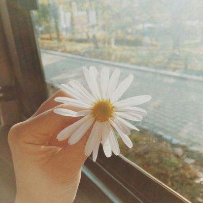 波胆app官网手机app下载