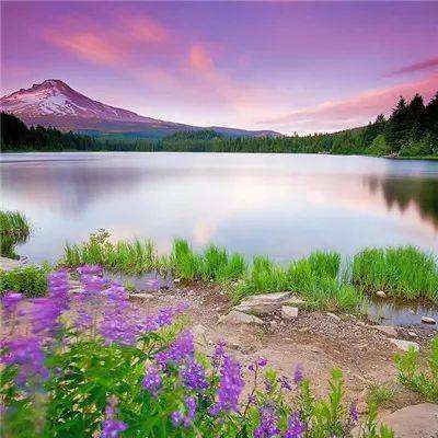 凤凰彩票下载中心