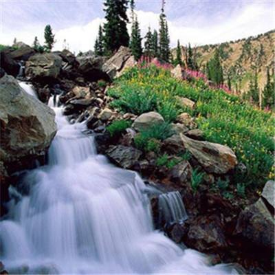 欧宝江南官方下载