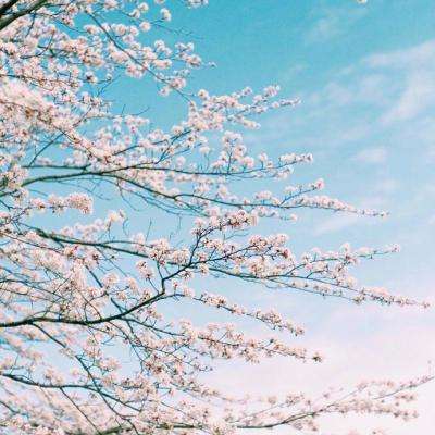 鸭脖app下载app下载截图