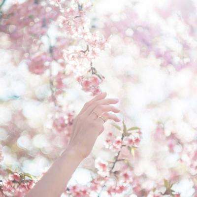 十大正规买足球网站